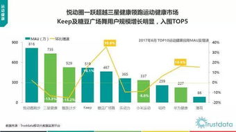 2017年上半年中國移動互聯(lián)網(wǎng)發(fā)展分析報告 軟件開發(fā)篇