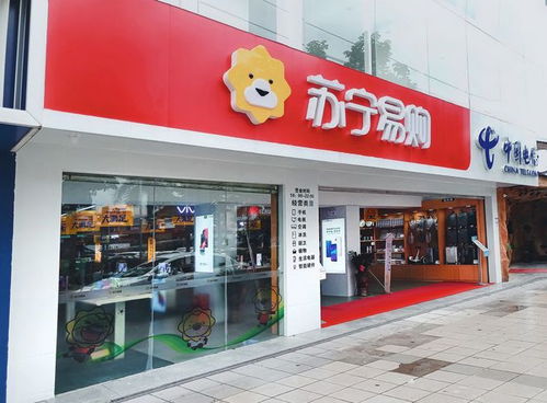 中文域名 蘇寧易購.購物視角下的品牌價值與競爭優勢